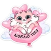 Gatitos💞8🇵🇪Clásica 18