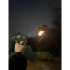 babydino 11