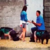 Parejas random 2 20