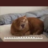 Angry 17