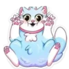 Gatitos💞8🇵🇪Clásica 20