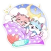 Gatitos💞8🇵🇪Clásica 21