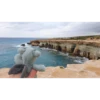 babydino 18