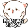 Me las vas a pagar