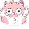 Gatitos💞8🇵🇪Clásica 24