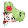 Niña Cactus💞1🇵🇪Clásica 24