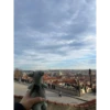 babydino 19