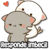시 Responde imbecil