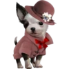 Perritos 18 👩🏻‍🎨 Img..1712 23