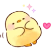 baby chick 17