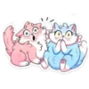 Gatitos💞8🇵🇪Clásica 26