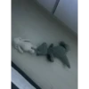 babydino 23