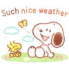 🐶Snoopy Spring 2.🌸🐾 19