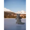 babydino 24