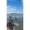 babydino 25
