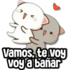 Vamos, te voy voy a bañar