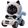 Gatitos💞13🇵🇪Clásica 24