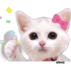 Gatita Coquette 🎀😻🎀 21