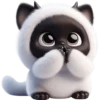 Gatitos💞13🇵🇪Clásica 25