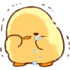 baby chick 23