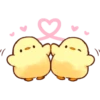 baby chick 24
