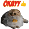 KITTI FAMILY (1) 20