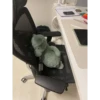 babydino 28