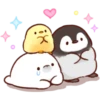 baby chick 29