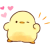 baby chick 30