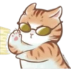 🐈G y S💞Michis 2🇨🇴🇲🇽Clásica 5