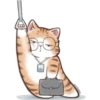 🐈G y S💞Michis 2🇨🇴🇲🇽Clásica 7