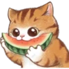 🐈G y S💞Michis 2🇨🇴🇲🇽Clásica 8