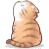 🐈G y S💞Michis 2🇨🇴🇲🇽Clásica 9