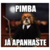 PIMBA JÁ APANHASTE