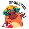 Пиби 8