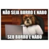 NÃO SEJA BURRO E NABO SEU BURRO E NABO