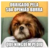 OBRIGADO PELA SUA OPINIÃO BURRA QUE NINGUÉM PEDIU