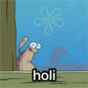holi