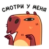 Пиби 12