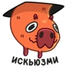 Пиби 13