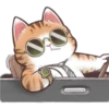 🐈G y S💞Michis 2🇨🇴🇲🇽Clásica 15