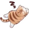 🐈G y S💞Michis 2🇨🇴🇲🇽Clásica 18