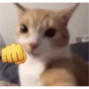AAAAA 8
