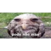 pode não man