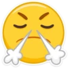 VK Emoji 12