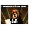 E O VENCEDOR DO ÓSCAR BURRO... É VOCÊ