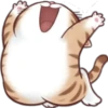 🐈G y S💞Michis 2🇨🇴🇲🇽Clásica 19