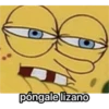 O póngale lizano