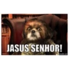JASUS SENHOR! ematic.net