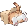 🐈G y S💞Michis 2🇨🇴🇲🇽Clásica 21